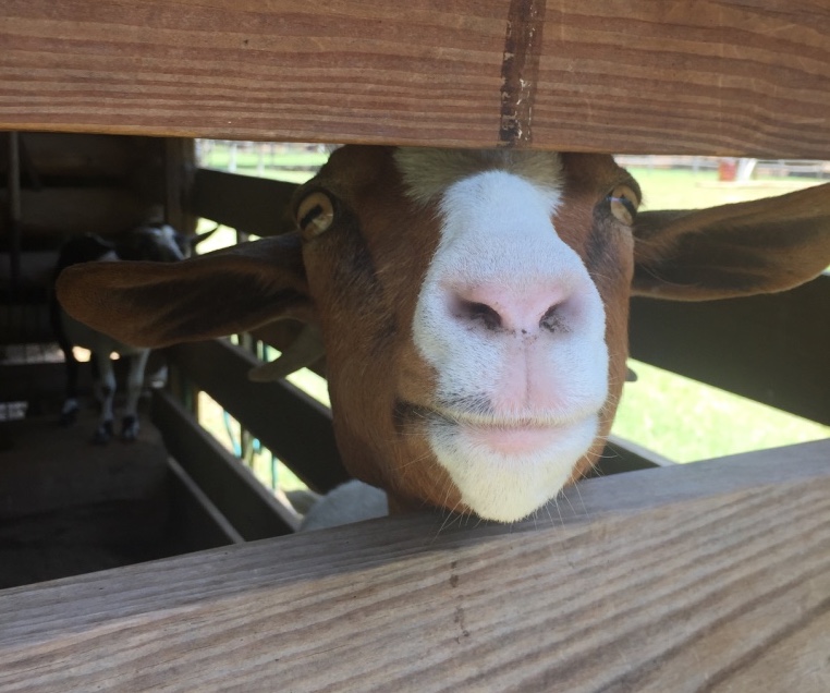 The eighth of October