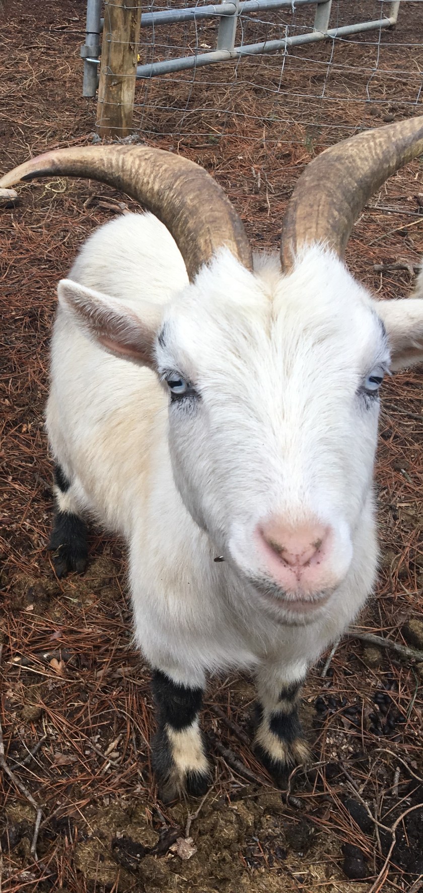 12.3.19 - Ernest.jpeg