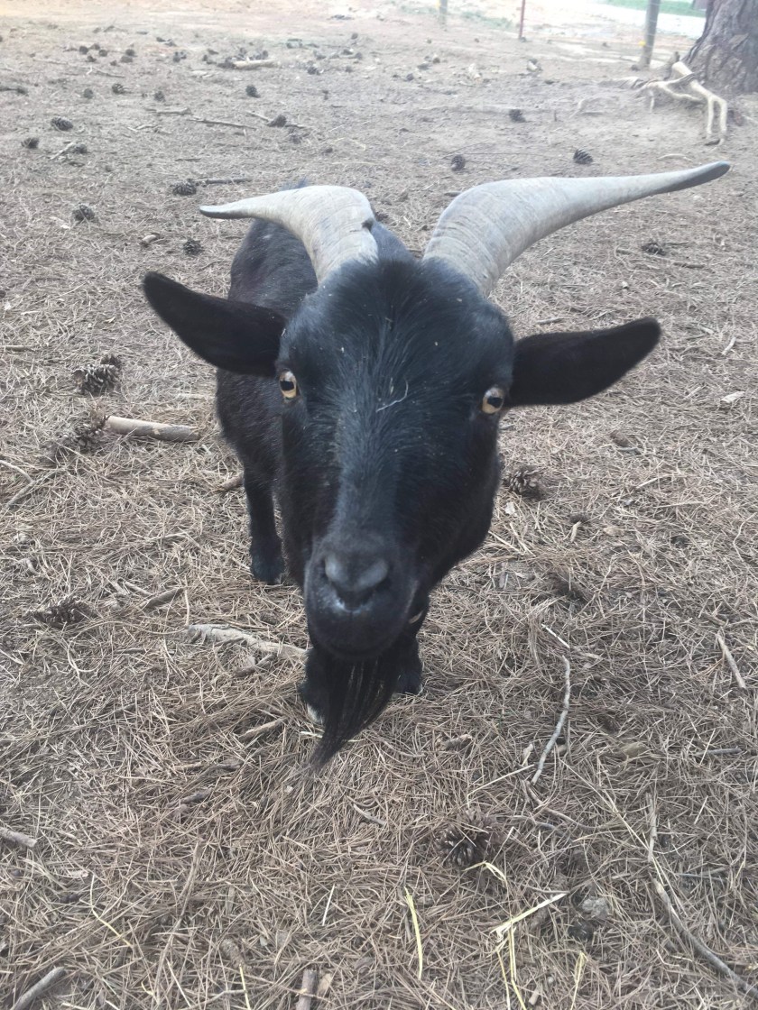 F6EA1409-D876-42A6-B5CC-18DE1BADE1F5